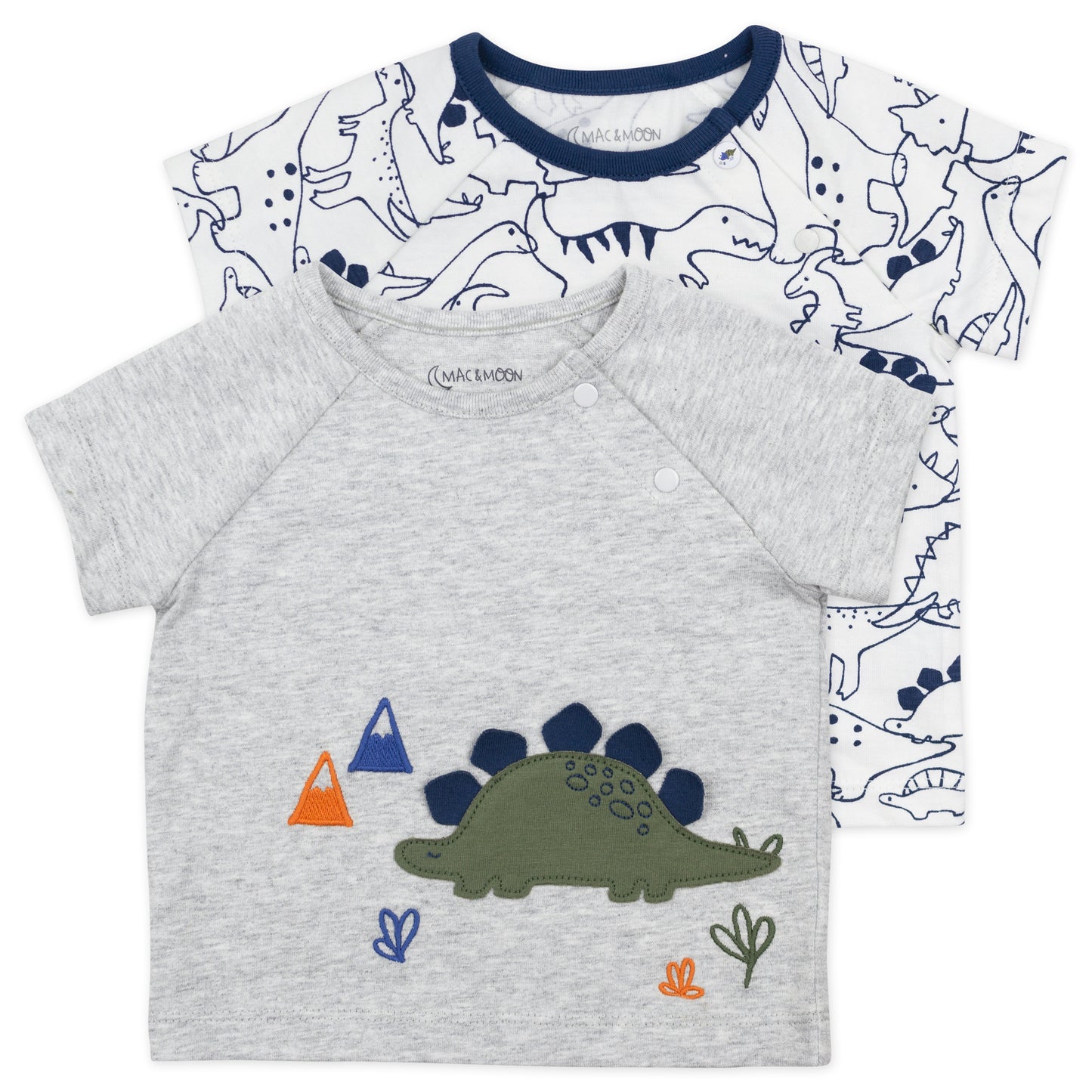 2-Pack Organic Cotton Short Sleeve Tees in Dinosaur Print