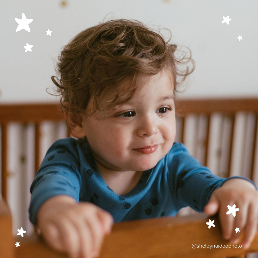4-Piece Organic Cotton Pajama Set in Dinosaur Print