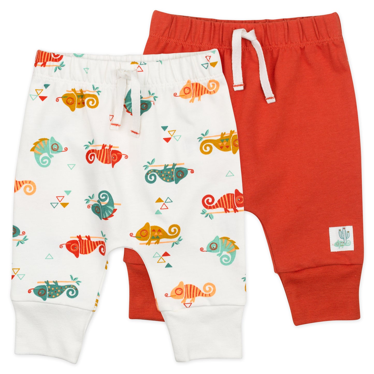 2-Pack Organic Cotton Pant in Chameleon Print