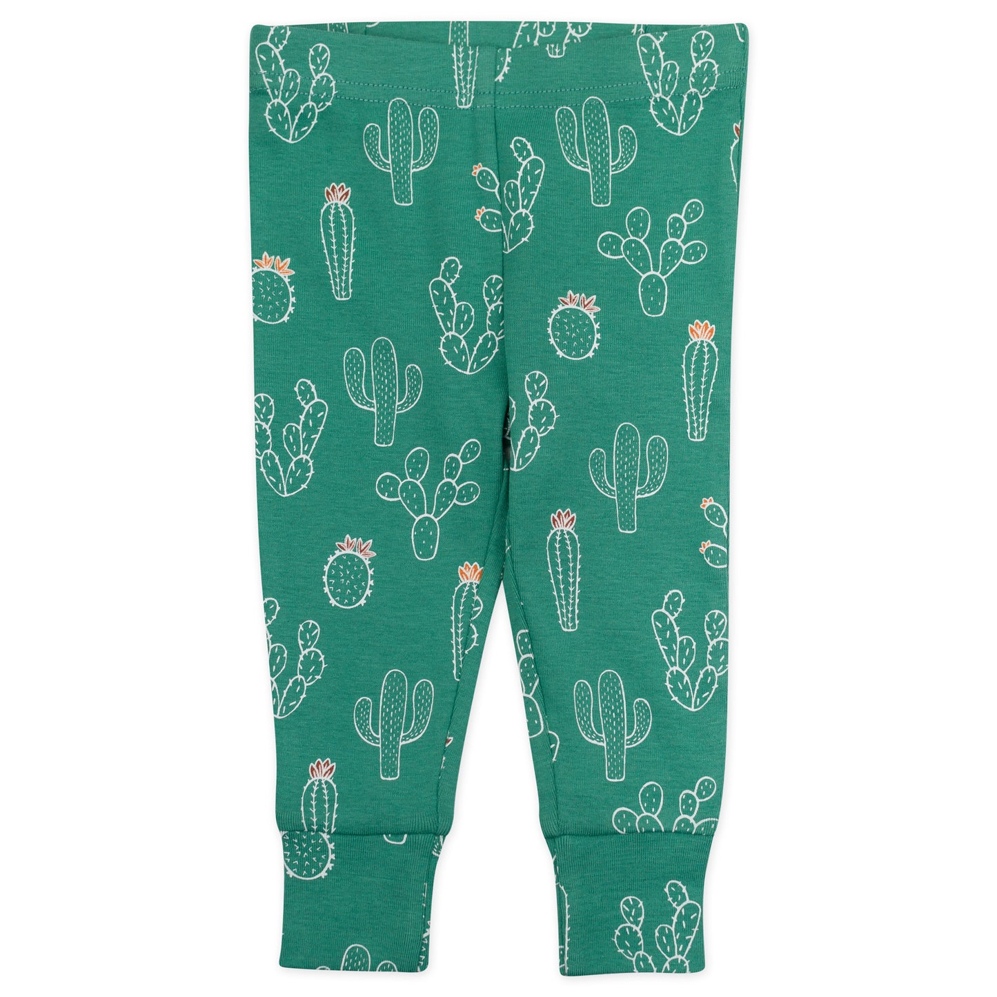4-Piece Organic Cotton Pajama Set in Chameleon Print